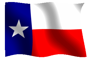 Texas State Flag